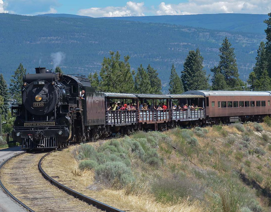 The front of a steam train surrounded by trees